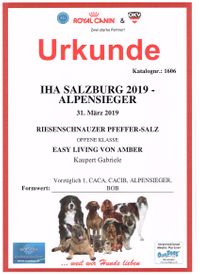 20190331_Alpensieger-Salzburg